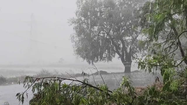 திருப்பத்தூர்
