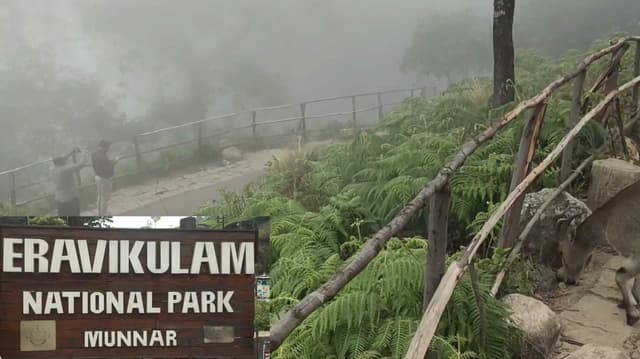 கேரளா - மூணாறு