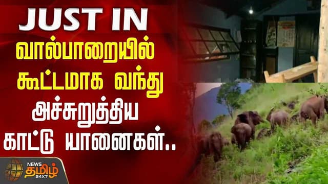 Elephant atrocity