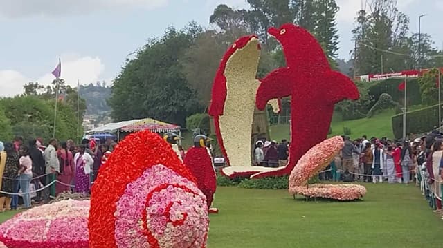 NLG Flower show