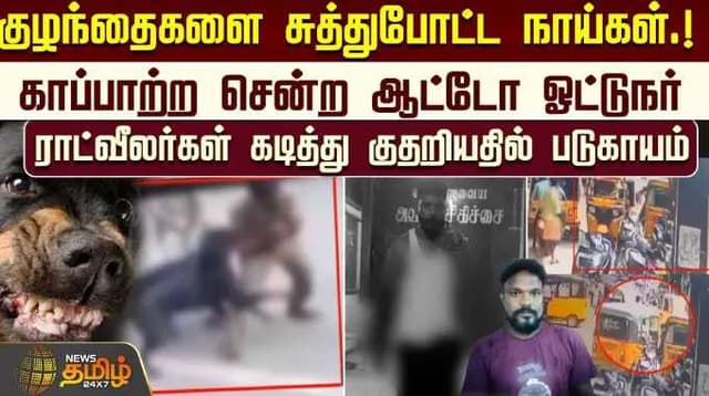 குழந்தைகளை சுத்துபோட்ட நாய்கள்.! காப்பாற்ற சென்ற ஆட்டோ ஓட்டுநர் - ராட்வீலர்கள் கடித்து படுகாயம்