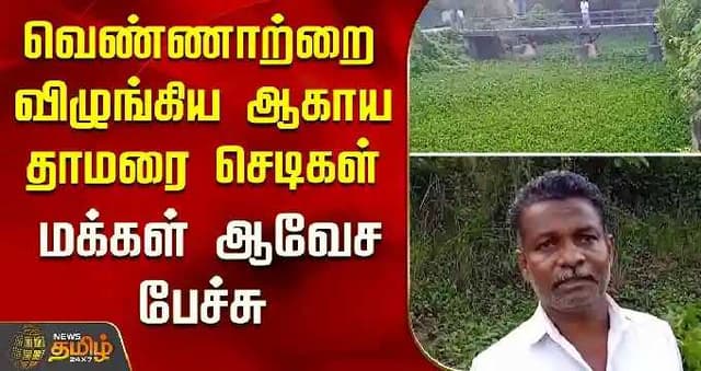வெண்ணாற்றை விழுங்கிய ஆகாய தாமரை செடிகள் - மக்கள் ஆவேச பேச்சு