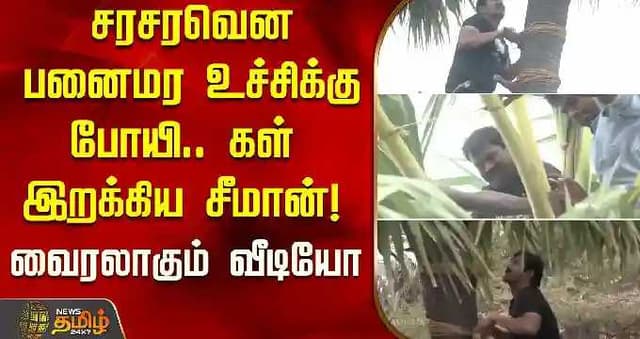 சரசரவென பனைமர உச்சிக்கு போயி.. கள் இறக்கிய சீமான்! - வைரலாகும் வீடியோ