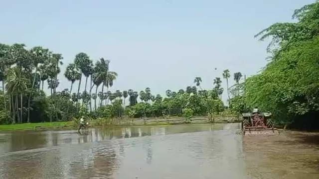 Chengalpattu land issue