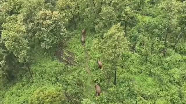 Nilgiris