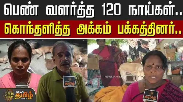 பெண் வளர்த்த 120 நாய்கள்... கொந்தளித்த அக்கம் பக்கத்தினர்.. | Pudukkottai | Dog