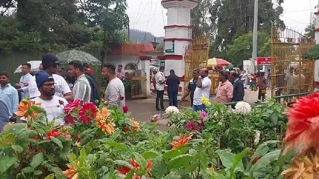 Udagai