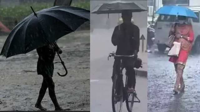 rain