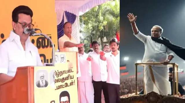 cm anna