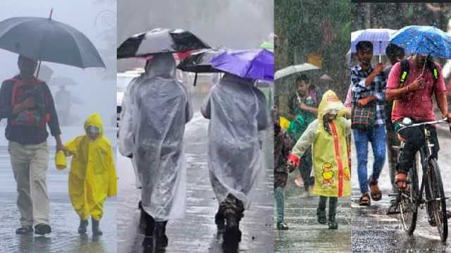 rain