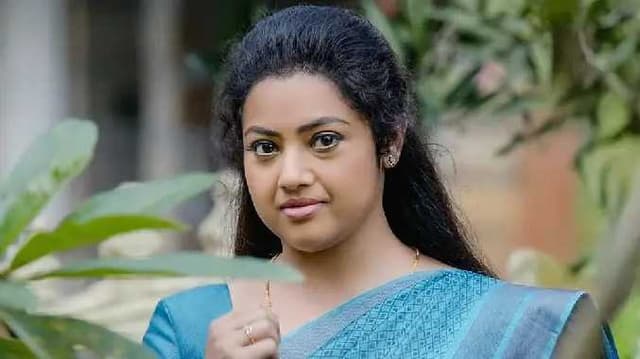 Drishyam 3 meena