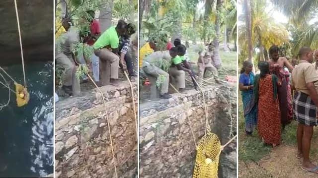TNL Well fall