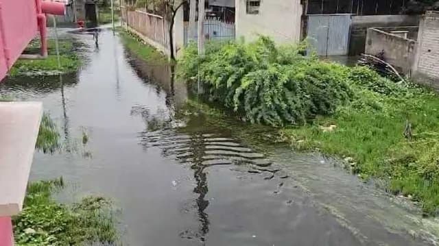 VLR Rain