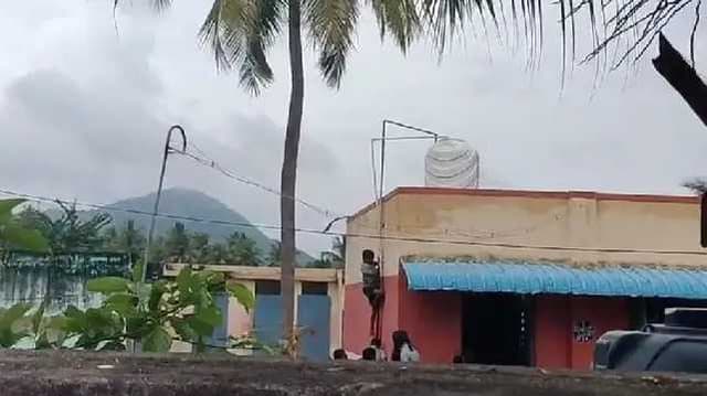 vlr
