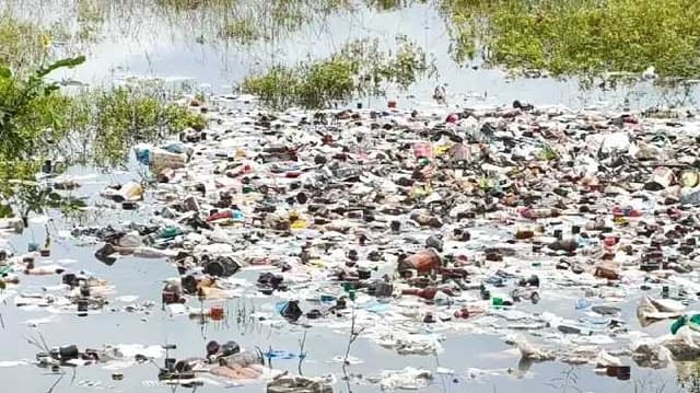 GDP Medical waste in paddy filed