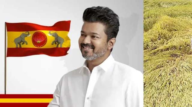vijay