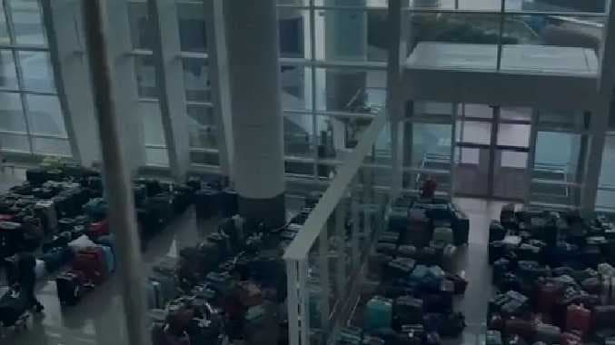 Delhi suitcase
