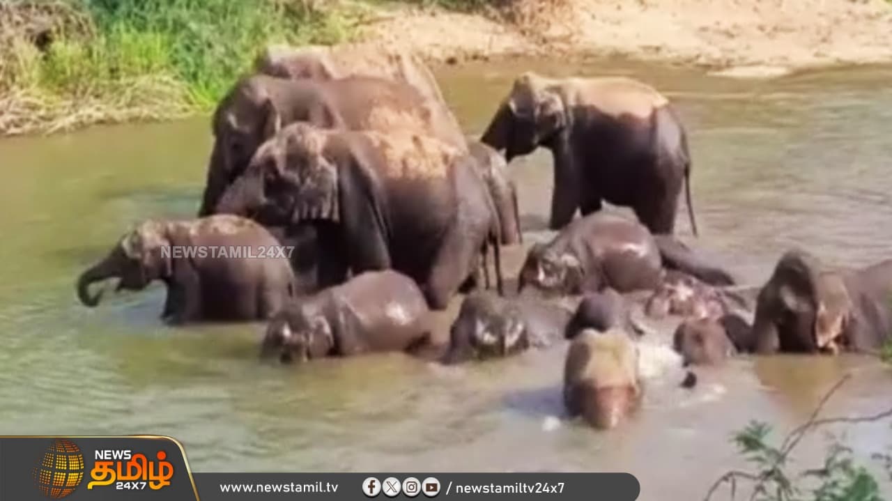 திப்பசந்திரம், கிருஷ்ணகிரி