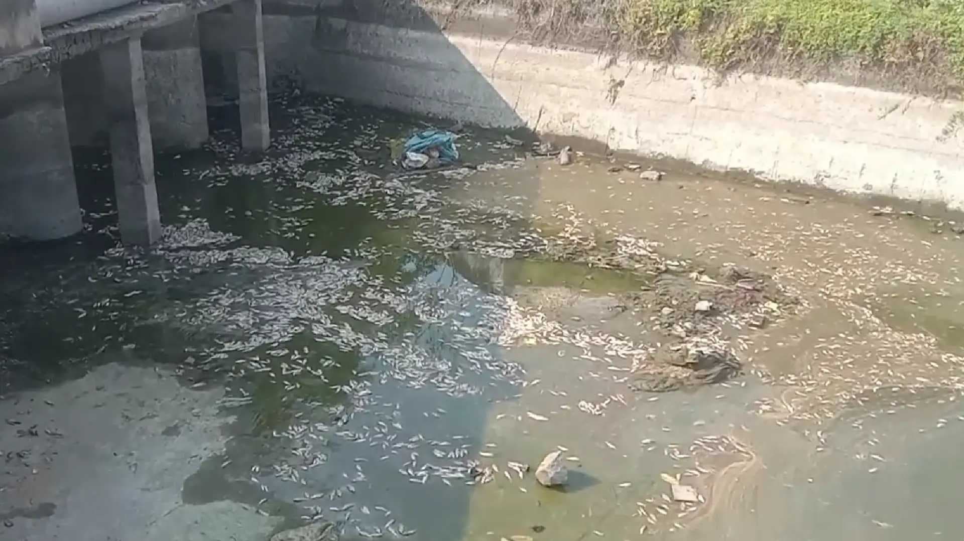 New Project - 2025-05-14T175516