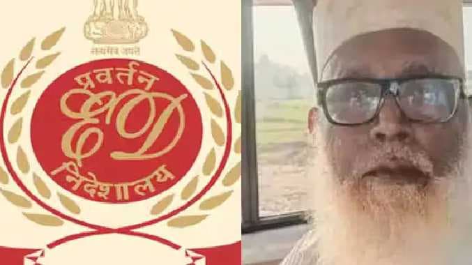 UP NEWS