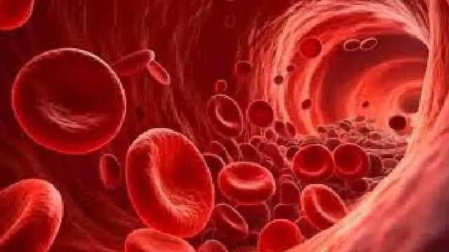 Blood Division