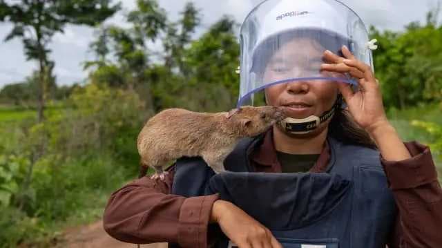Cambodia