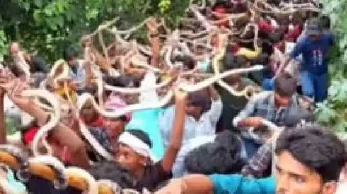 BiharFestivals