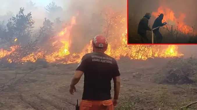 forest fire