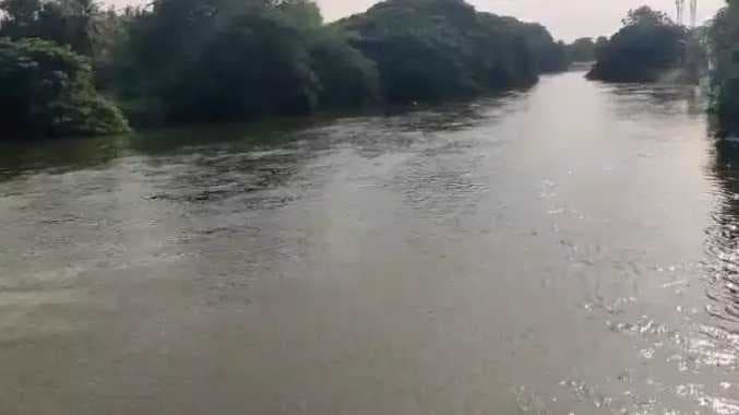 TNJ Cauvery river death