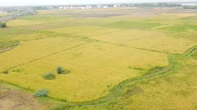 RMD Agriculture news