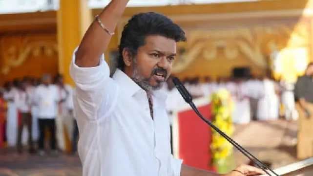 vijay lion