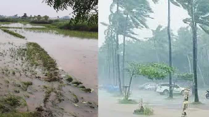 rain