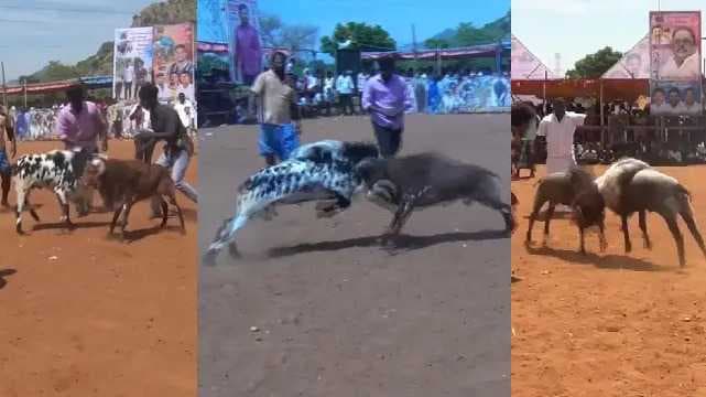 kida muttu