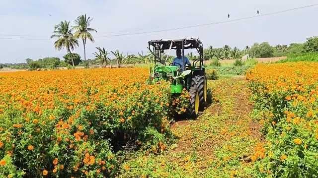 Dindigul