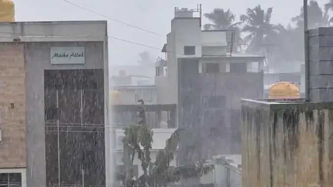 TPT Rain