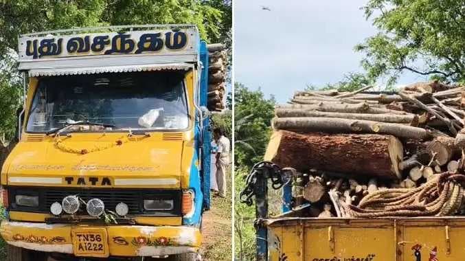 ERD Tree cutting