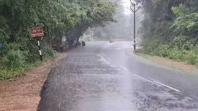 THN Rain