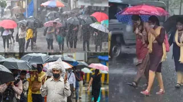 rain