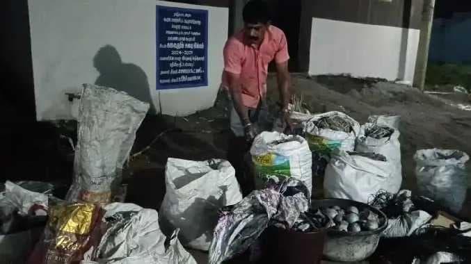 Fireworks factory sales