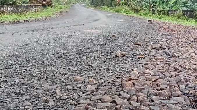 NMK Kollimalai hills