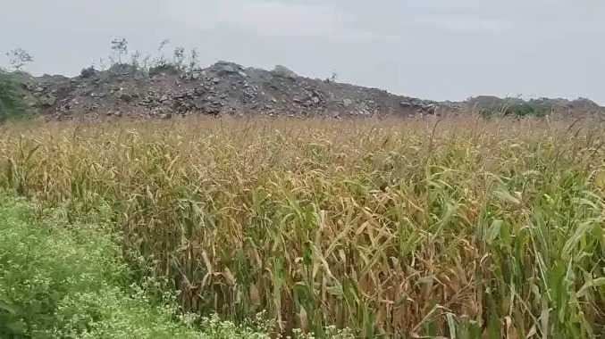 VDN Karur