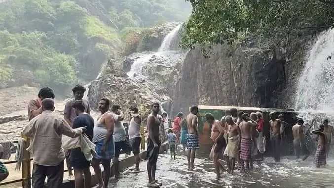 TNL Agasthiyar falls