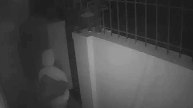 VPM Theft