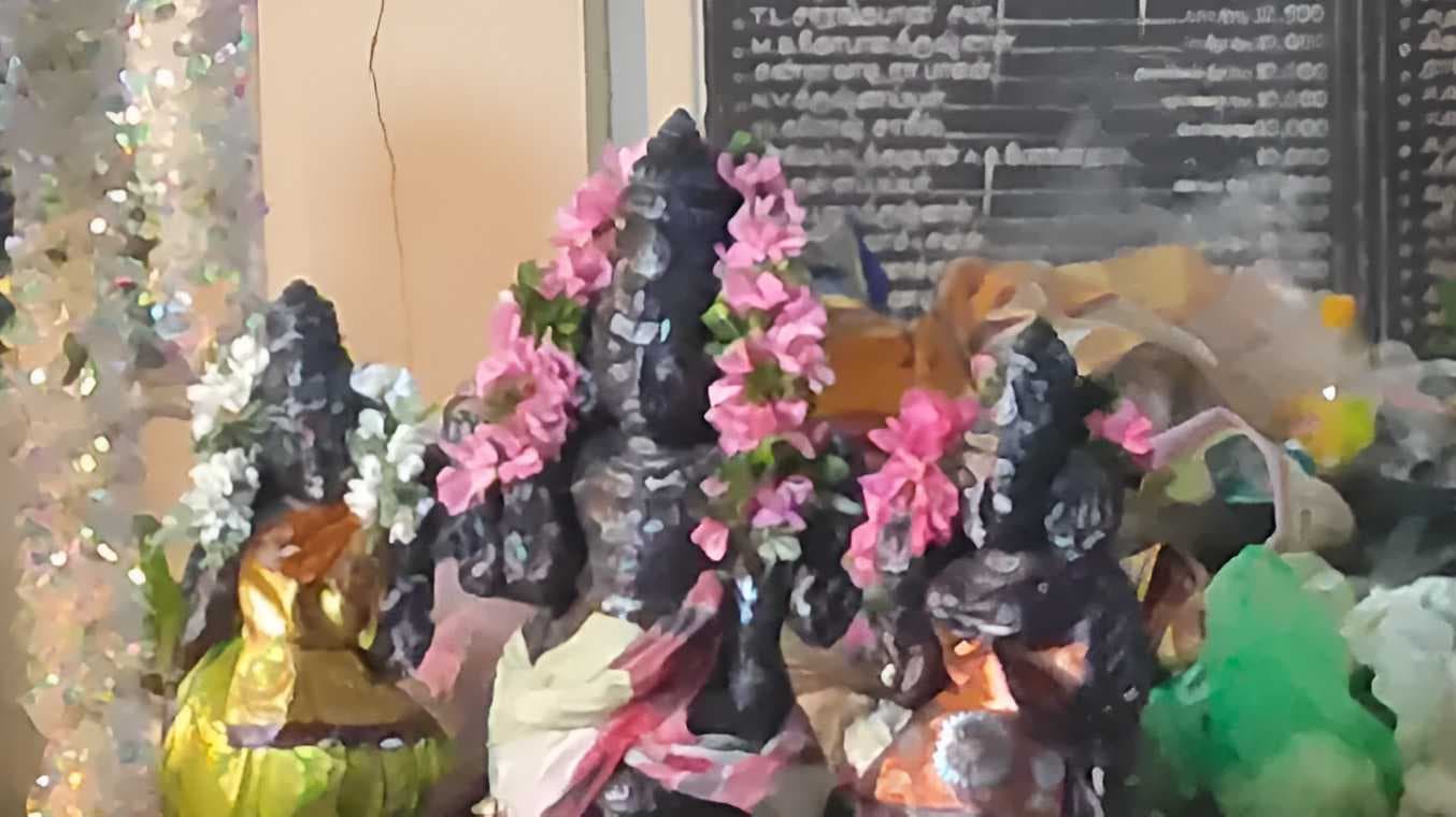 tnj 2-1-Picsart-AiImageEnhancer