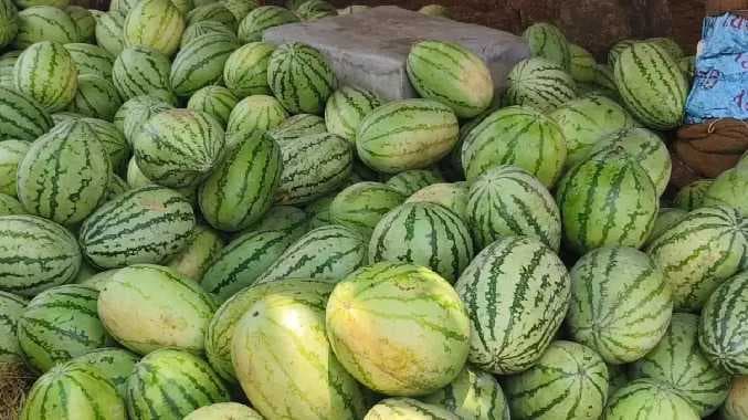 திண்டுக்கல் தர்பூசணி