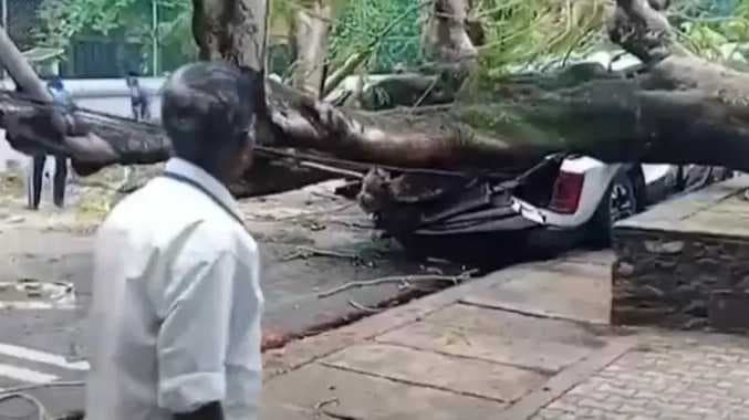 அப்பளம் போல் நொறுங்கிய கார்