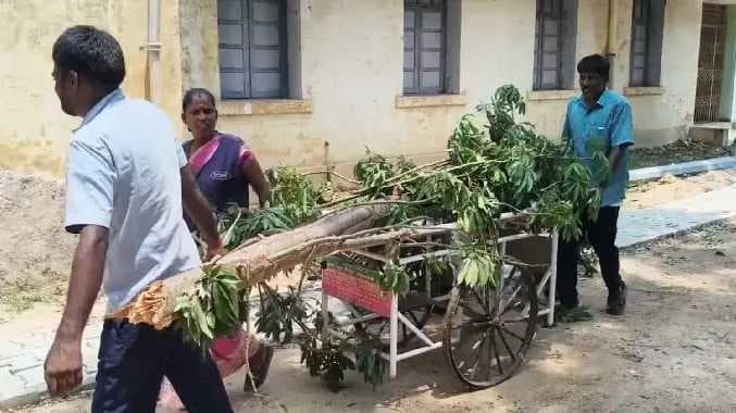 அரசு மருத்துவமனையில் அவலம்