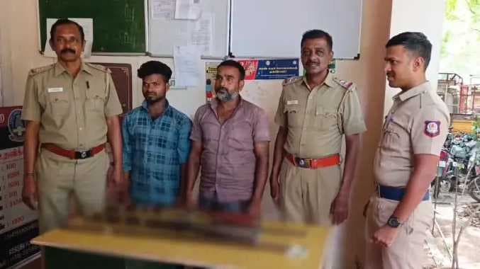 வனவிலங்கு வேட்டை