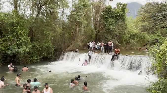 கன்னிமாரா தோப்பு